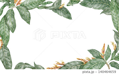 Sanchezia plant rectangular frame with copy space. Hand drawn watercolor background with tropical green leaves in botanical style. Exotic floral natural design for garden card or botanical template 140464659