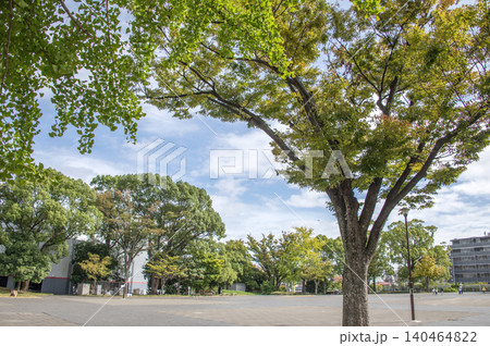 反町公園 神奈川県横浜市 反町公園 神奈川県横浜市 140464822