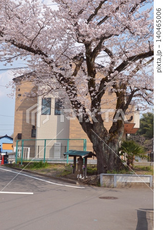 東京の田舎の桜 140465006