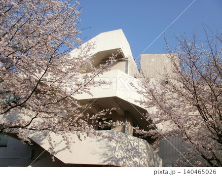 東京の田舎の桜 東京の田舎の桜 140465026