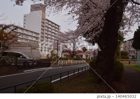 東京の田舎の桜 東京の田舎の桜 140465032