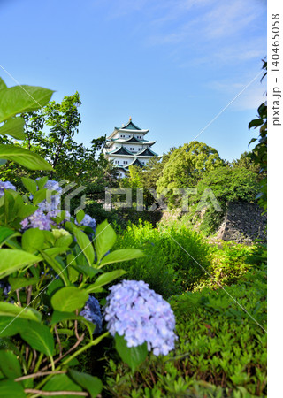《愛知県》名古屋城天守閣と紫陽花 《愛知県》名古屋城天守閣と紫陽花 140465058