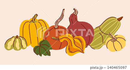 Linear composition with varied decorative and edible pumpkins in a row, autumn harvest urobaya, Thanksgiving ingredients 140465097