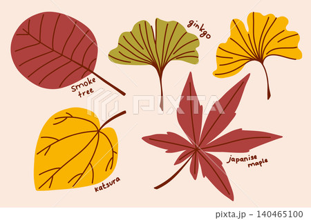 Collection of Japanese leaves with hand-drawn doodle lines, autumn clip art of tree leaves and branches 140465100