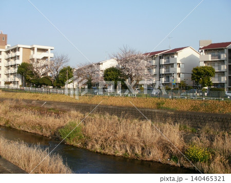 集合住宅の春 集合住宅の春 140465321