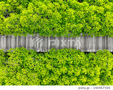 Aerial view lush green mangrove forest. Wooden bridges for natural trails, highlighting ecotourism opportunities, carbon capture benefits, and vital role mangroves play in combating climate change. Aerial view lush green mangrove forest. Wooden bridges for natural trails, highlighting ecotourism opportunities, carbon capture benefits, and vital role mangroves play in combating climate change. 140467308