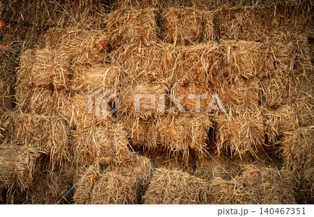 Dry straw bale and agricultural byproducts. stacked yellow straw bales for animal fodder and livestock bedding. Straw bales in sustainable farming. Agricultural byproducts. Agricultural practices. Dry straw bale and agricultural byproducts. stacked yellow straw bales for animal fodder and livestock bedding. Straw bales in sustainable farming. Agricultural byproducts. Agricultural practices. 140467351
