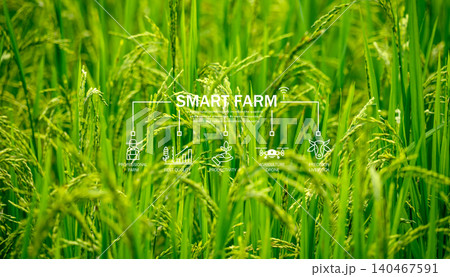 Smart farm technology meets agricultural expertise. Precision livestock management and agriculture drones enhance productivity. Modern farming practices. Innovation in sustainable agriculture. Smart farm technology meets agricultural expertise. Precision livestock management and agriculture drones enhance productivity. Modern farming practices. Innovation in sustainable agriculture. 140467591