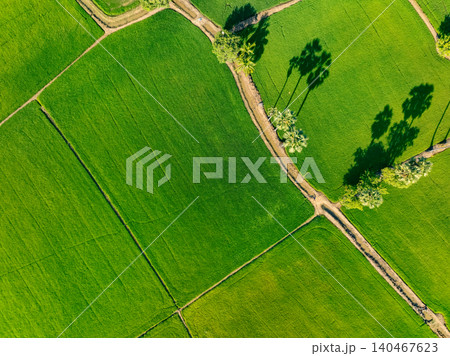 Aerial view of lush green rice field with small winding canal. Sustainable agriculture landscape. Sustainable rice farming. Rice cultivation. Green landscape. Organic farming. Sustainable land use. 140467623