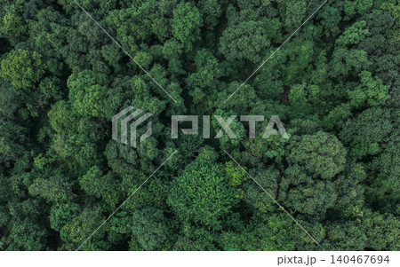 Aerial top view of green trees in forest. Drone view of dense green tree captures CO2. Green tree nature background for carbon neutrality and net zero emissions concept. Sustainable green environment. Aerial top view of green trees in forest. Drone view of dense green tree captures CO2. Green tree nature background for carbon neutrality and net zero emissions concept. Sustainable green environment. 140467694