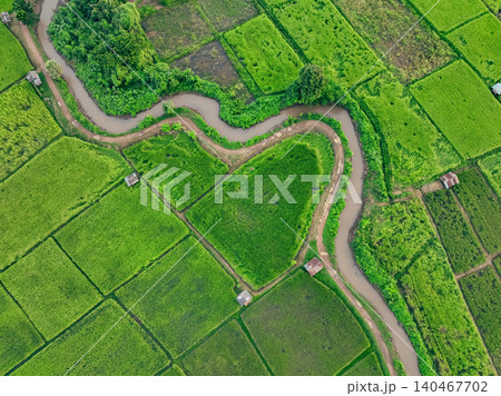 Aerial view of lush green rice field with small winding canal. Sustainable agriculture landscape. Sustainable rice farming. Rice cultivation. Green landscape. Organic farming. Sustainable land use. Aerial view of lush green rice field with small winding canal. Sustainable agriculture landscape. Sustainable rice farming. Rice cultivation. Green landscape. Organic farming. Sustainable land use. 140467702