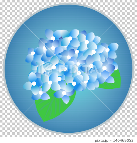 Hydrangea illustration with a circular background Hydrangea illustration with a circular background 140469052
