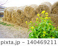 菜の花が咲く畑の片隅 140469211