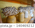 しめじ栽培の様子 140469212