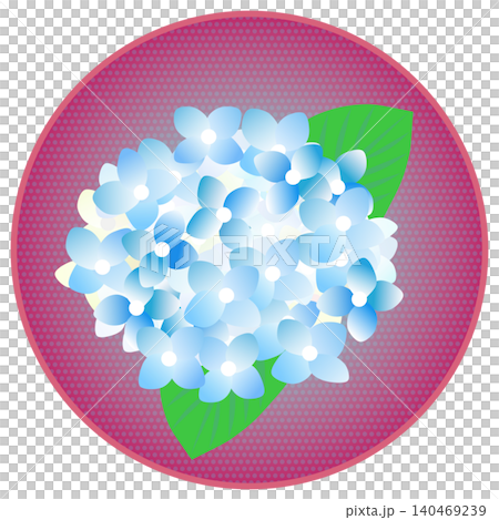 Hydrangea illustration with a circular background Hydrangea illustration with a circular background 140469239