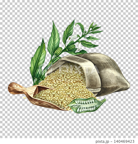 White sesame seeds in burlap and scoop, sesame stalk with leaves, pods, and flowers. Hand-drawn watercolor illustration. Perfect for creating labels, packaging, posters, banners, menus, and more. White sesame seeds in burlap and scoop, sesame stalk with leaves, pods, and flowers. Hand-drawn watercolor illustration. Perfect for creating labels, packaging, posters, banners, menus, and more. 140469423