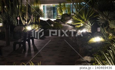 Night Garden Pathway with Desert Plants and Cacti 140469436