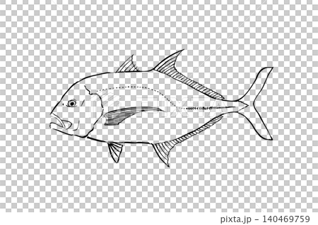 巨型鰺魚插圖;鹹水魚線條畫;野外指南風格。 巨型鰺魚插圖;鹹水魚線條畫;野外指南風格。 140469759