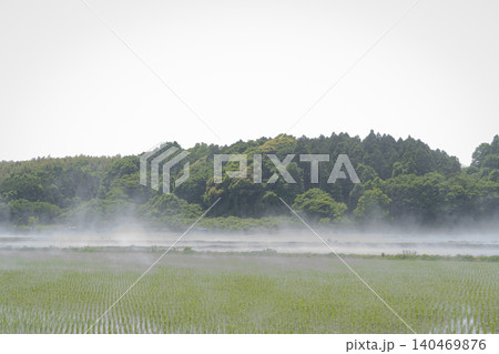 水田に沸く霧 霧 気嵐 地霧 蒸気霧 気象 水田 水田に沸く霧 霧 気嵐 地霧 蒸気霧 気象 水田 140469876