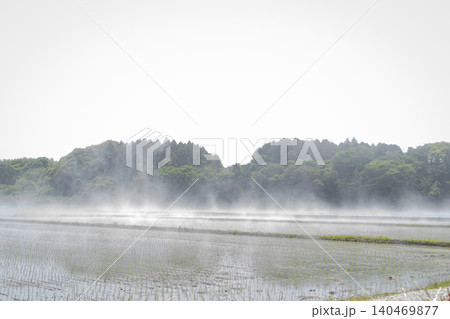 水田に沸く霧 霧 気嵐 地霧 蒸気霧 気象 水田 水田に沸く霧 霧 気嵐 地霧 蒸気霧 気象 水田 140469877