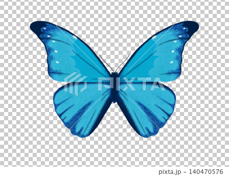 ルテノールモルフォのイラスト イメージ 蝶 クリップアート 挿絵 png ルテノールモルフォのイラスト イメージ 蝶 クリップアート 挿絵 png 140470576
