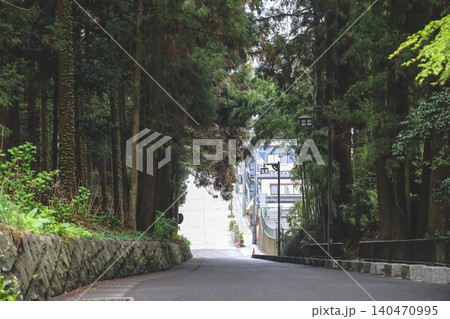April 29 2026 Zuihoden approach road leading through forest April 29 2026 Zuihoden approach road leading through forest 140470995