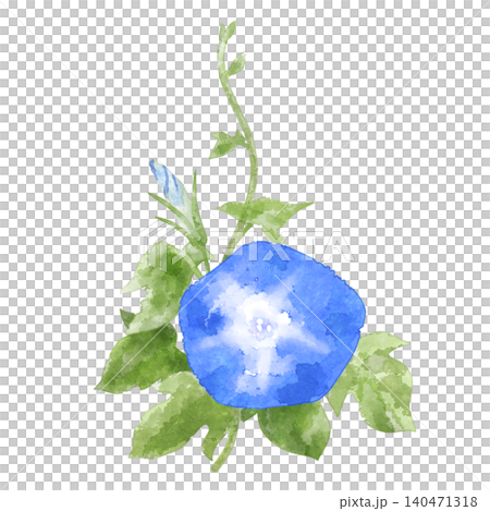一朵藍色的牽牛花，手繪水彩插圖，具有日式紙張的質感。 140471318