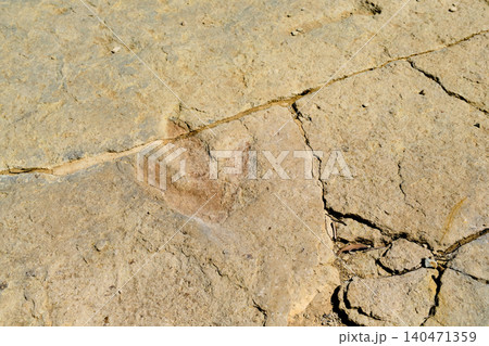 Dinosaur footprint on the stone Dinosaur footprint on the stone 140471359