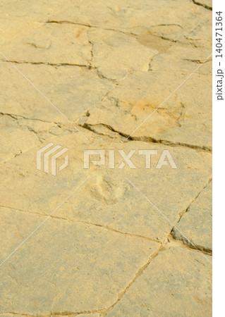 Dinosaur footprint on the stone Dinosaur footprint on the stone 140471364