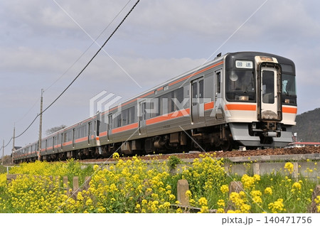 菜の花とキハ75系回送列車 菜の花とキハ75系回送列車 140471756