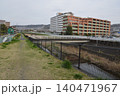 春の湯殿川　八王子市 140471967