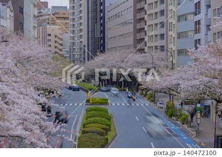 桜が満開の明治通りの交通【春イメージ】 桜が満開の明治通りの交通【春イメージ】 140472100