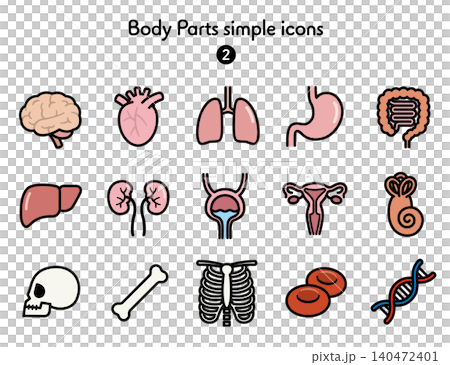 Simple Icon Collection: Human Body 2 140472401