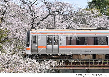 満開の新境川を渡るキハ75 満開の新境川を渡るキハ75 140472427