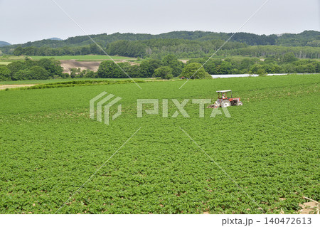 初夏の北海道厚沢部町でジャガイモ畑の除草作業風景を撮影 140472613