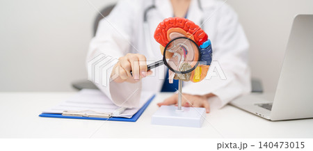 Doctor with human Brain anatomy model. World Brain Tumor day, Brain Stroke, Dementia, alzheimer, parkinson, mental health, neurological disorders and Dementia concept Doctor with human Brain anatomy model. World Brain Tumor day, Brain Stroke, Dementia, alzheimer, parkinson, mental health, neurological disorders and Dementia concept 140473015