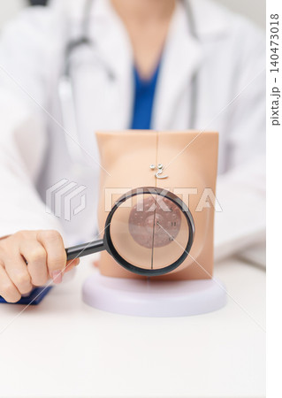 Doctor with Breast Anatomy model. Breast Augmentation Surgery, October Breast Cancer Awareness month, implant, Diagnosis, Beauty woman enlargement and medical education concept Doctor with Breast Anatomy model. Breast Augmentation Surgery, October Breast Cancer Awareness month, implant, Diagnosis, Beauty woman enlargement and medical education concept 140473018