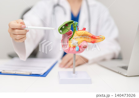 Doctor with human Pancreatitis anatomy model with Pancreas, Gallbladder, Bile Duct, Duodenum, Small intestine. Pancreatic cancer, Acute and Chronic pancreatitis, Digestive system and Health concept Doctor with human Pancreatitis anatomy model with Pancreas, Gallbladder, Bile Duct, Duodenum, Small intestine. Pancreatic cancer, Acute and Chronic pancreatitis, Digestive system and Health concept 140473026