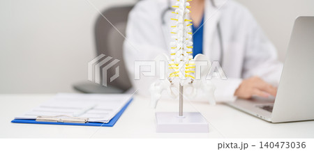 Doctor with human Spine anatomy model. Spinal Cord Disorder and disease, Back pain, Lumbar, Sacral pelvis, Cervical neck, Thoracic, Coccyx, Orthopedist, chiropractic, Office Syndrome and health 140473036