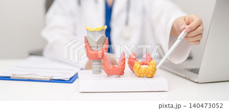 Doctor with human Thyroid anatomy model. Hyperthyroidism, Hypothyroidism, Hashimoto Thyroiditis, Thyroid Tumor and Cancer, Postpartum, Papillary Carcinoma and Health concept Doctor with human Thyroid anatomy model. Hyperthyroidism, Hypothyroidism, Hashimoto Thyroiditis, Thyroid Tumor and Cancer, Postpartum, Papillary Carcinoma and Health concept 140473052