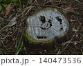 切り株 140473536