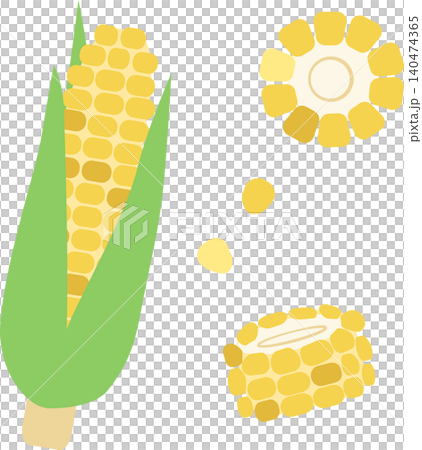 玉米及其切片的插圖—簡單的夏季蔬菜素材 140474365
