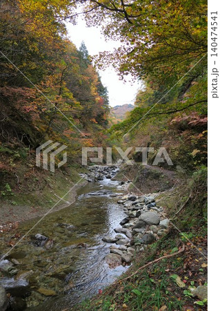 面白山 紅葉川渓谷 面白山 紅葉川渓谷 140474541