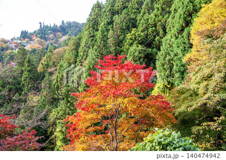 東京　青梅　武藏御嶽神社　紅葉の山 140474942