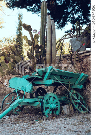 A rustic wooden cart painted in turquoise is set amidst a garden, embellished with various types of cacti and surrounded by greenery under bright daylight. A rustic wooden cart painted in turquoise is set amidst a garden, embellished with various types of cacti and surrounded by greenery under bright daylight. 140474956