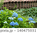 里山の水辺に咲く紫陽花 140475031