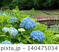里山の水辺に咲く紫陽花 140475034