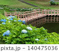 里山の水辺に咲く紫陽花 140475036