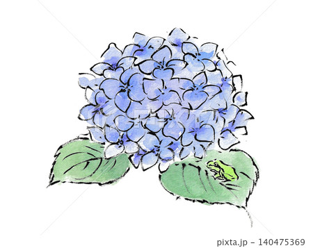 カタツムリと青い紫陽花 140475369