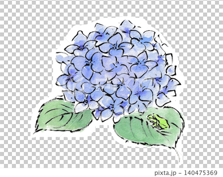カタツムリと青い紫陽花 140475369